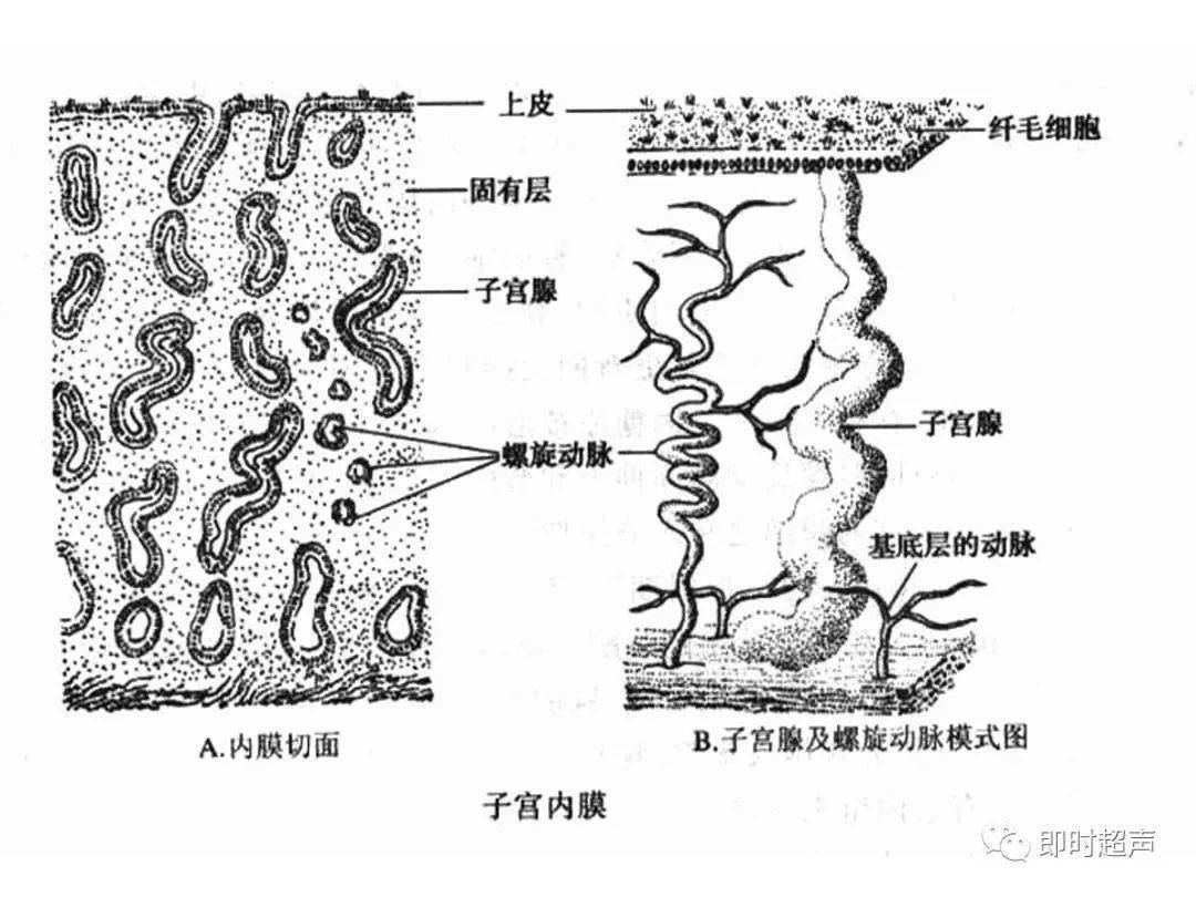 奥迪q5参数，23款奥迪q5配置及参数